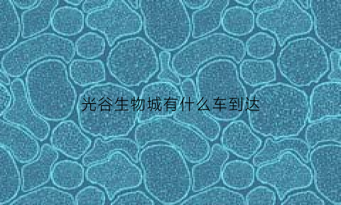 光谷生物城有什么车到达(光谷生物城到武汉火车站)