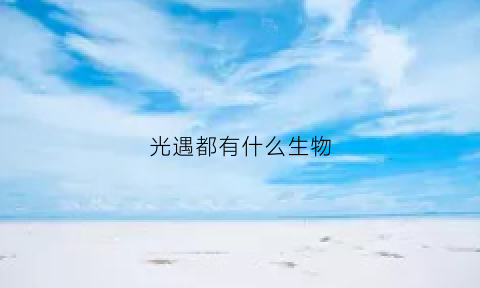 光遇都有什么生物(光遇有哪些生物)