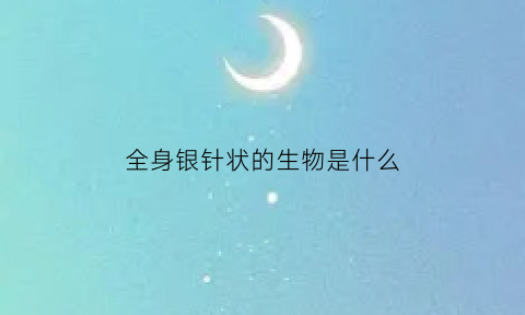 全身银针状的生物是什么