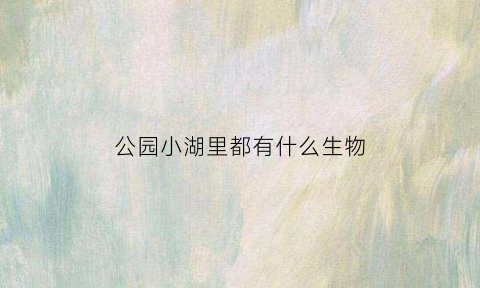公园小湖里都有什么生物(公园小湖里都有什么生物种类)