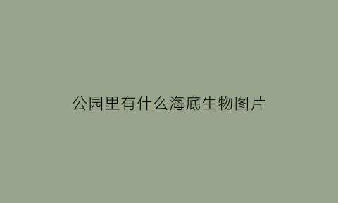 公园里有什么海底生物图片(公园里有什么海底生物图片和名字)