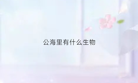 公海里有什么生物(公海里有鱼吗)