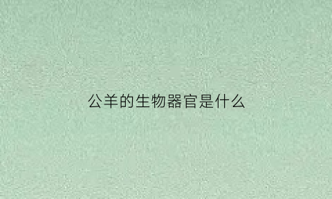 公羊的生物器官是什么(公羊的生殖构造和特点)