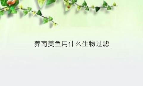 养南美鱼用什么生物过滤