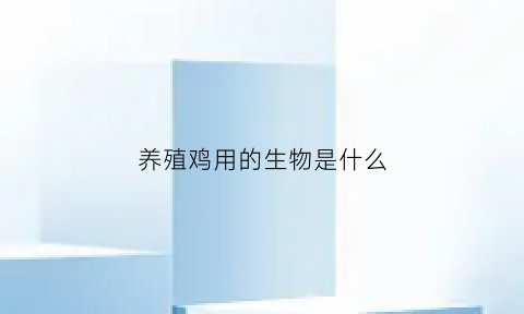 养殖鸡用的生物是什么(养殖鸡用的生物是什么材料)