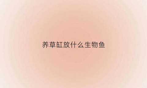 养草缸放什么生物鱼(草缸适合养什么生物)