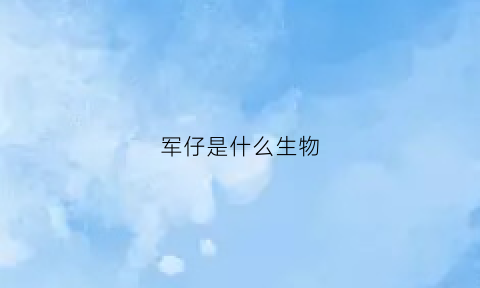 军仔是什么生物(什么是军子)