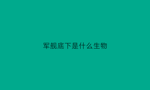 军舰底下是什么生物(军舰上面有什么)