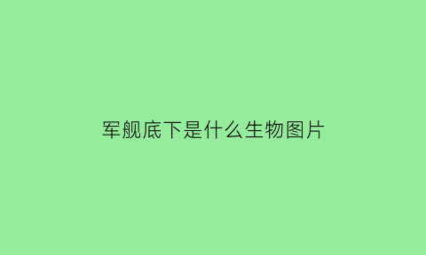 军舰底下是什么生物图片(军舰底部是平的吗)