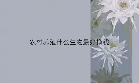 农村养殖什么生物最好挣钱(农村养殖什么动物好)