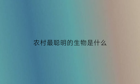 农村最聪明的生物是什么(农村什么动物好养活)