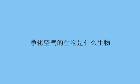 净化空气的生物是什么生物(净化空气的生物是什么生物类群)