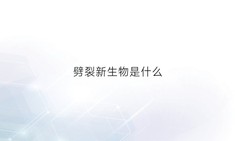 劈裂新生物是什么(劈裂解剖图)