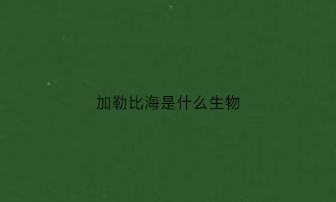 加勒比海是什么生物(加勒比海是什么海)