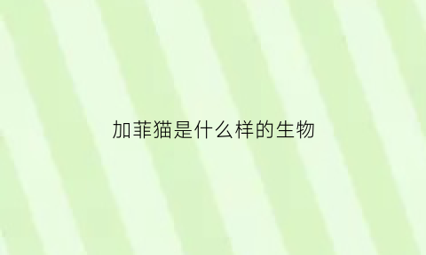 加菲猫是什么样的生物(加菲猫属于哪种猫)