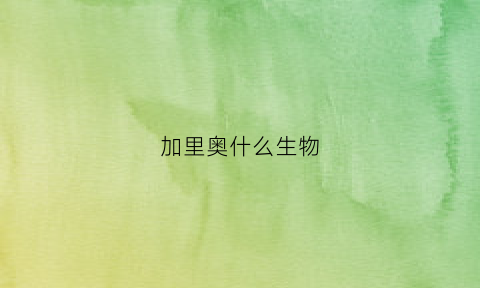 加里奥什么生物(加里奥技能详解)