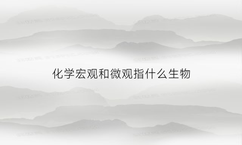 化学宏观和微观指什么生物