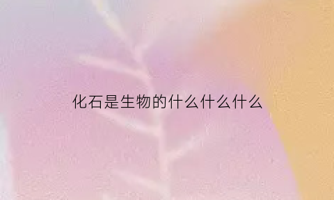 化石是生物的什么什么什么