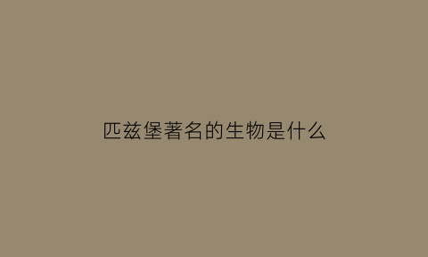 匹兹堡著名的生物是什么(匹兹堡特点)