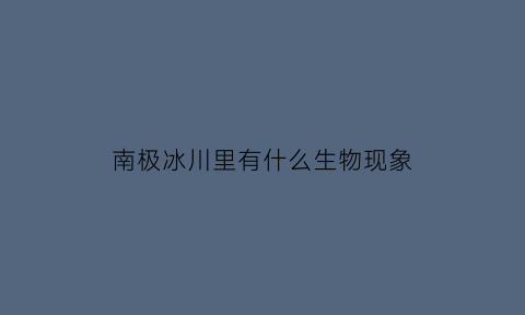 南极冰川里有什么生物现象(南极冰川有什么稀有动物)