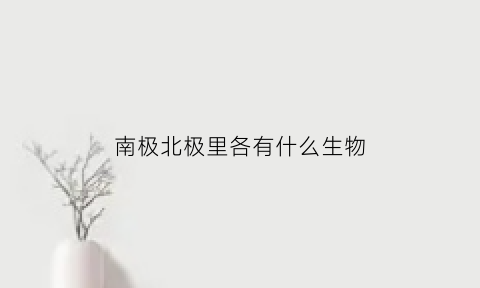 南极北极里各有什么生物(南极北极有什么动物)