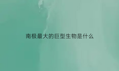 南极最大的巨型生物是什么(南极洲巨大生物)