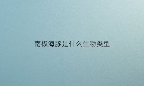 南极海豚是什么生物类型(南极有没有海豚和鲸鱼)