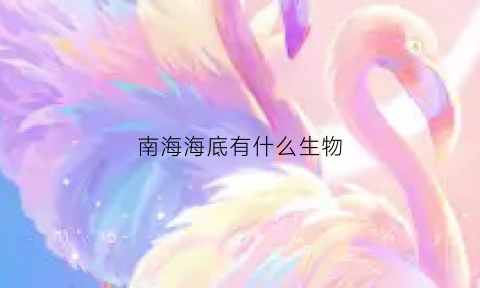 南海海底有什么生物(南海有什么海洋动物)