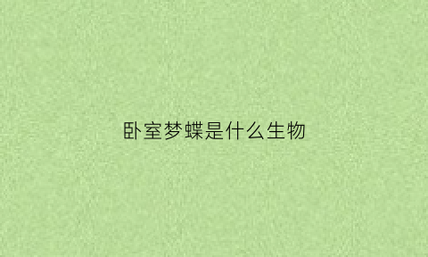 卧室梦蝶是什么生物(梦蝶寓意)
