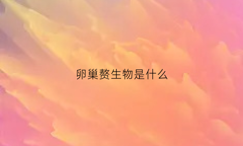 卵巢赘生物是什么(卵巢赘生物是什么意思)