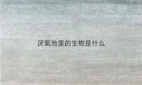 厌氧池里的生物是什么(厌氧池有毒吗)