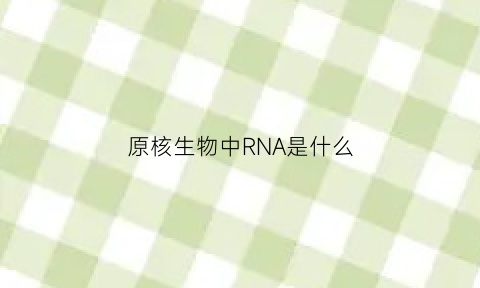 原核生物中RNA是什么(原核生物中rna位于哪个部位)