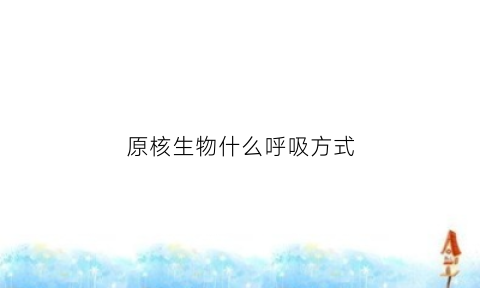 原核生物什么呼吸方式