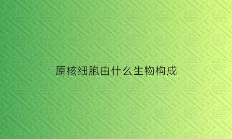 原核细胞由什么生物构成