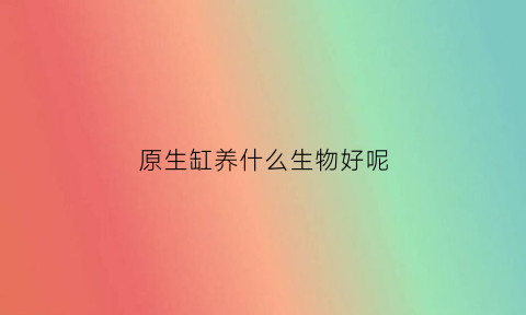 原生缸养什么生物好呢