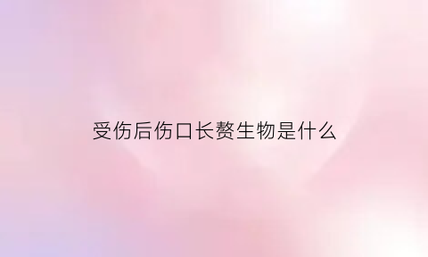 受伤后伤口长赘生物是什么(受伤了伤口长了个肉疙瘩)