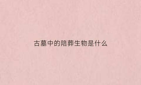 古墓中的陪葬生物是什么