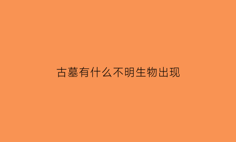 古墓有什么不明生物出现