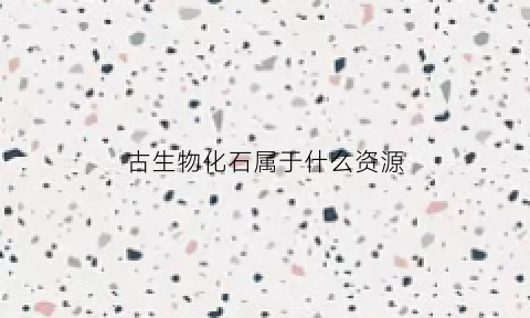 古生物化石属于什么资源(古生物化石属于什么岩石)