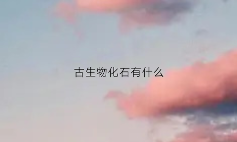 古生物化石有什么(古生物化石有什么意义)