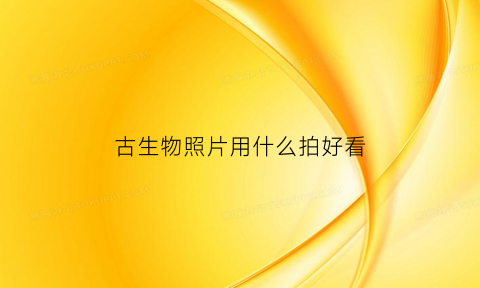 古生物照片用什么拍好看(古生物照片用什么拍好看一点)
