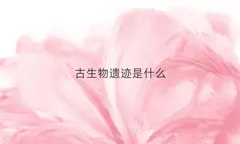 古生物遗迹是什么(古生物的遗迹)