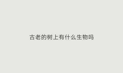 古老的树上有什么生物吗(古老的树木)