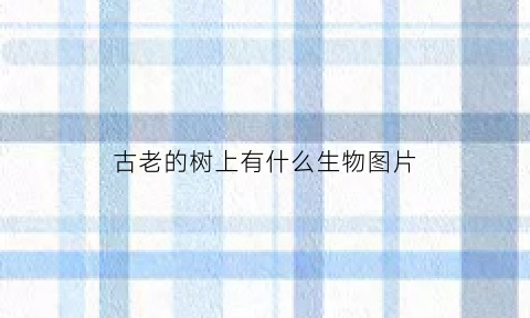 古老的树上有什么生物图片(古老的树打一字)