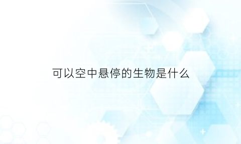 可以空中悬停的生物是什么(可以空中悬停的生物是什么生物)