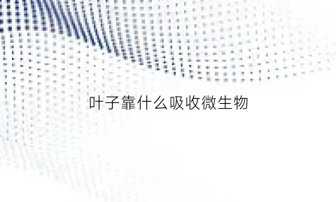 叶子靠什么吸收微生物(叶子吸收什么光)
