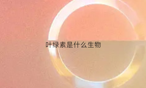 叶绿素是什么生物