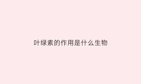叶绿素的作用是什么生物(叶绿素是干嘛的)