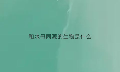 和水母同源的生物是什么