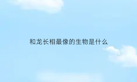 和龙长相最像的生物是什么